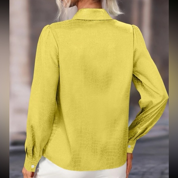 Elegant Satin Jacquard Puff Long Sleeve Button Down Shirt Top Blouse - Picture 3 of 7